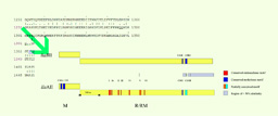 Raw DNA data sequence comparison